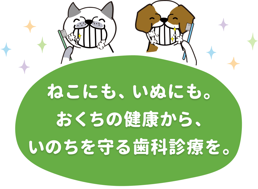 ねこにも、いぬにも。おくちの健康から、いのちを守る歯科診療を。