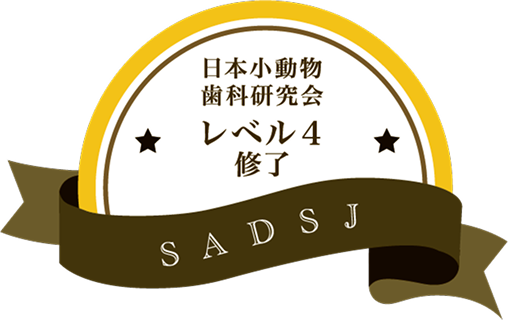 国際小動物歯科研究【レベル4修了】